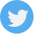 Twitter Icon